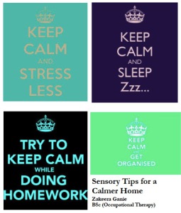 Sensory Diet for Calmer Home image